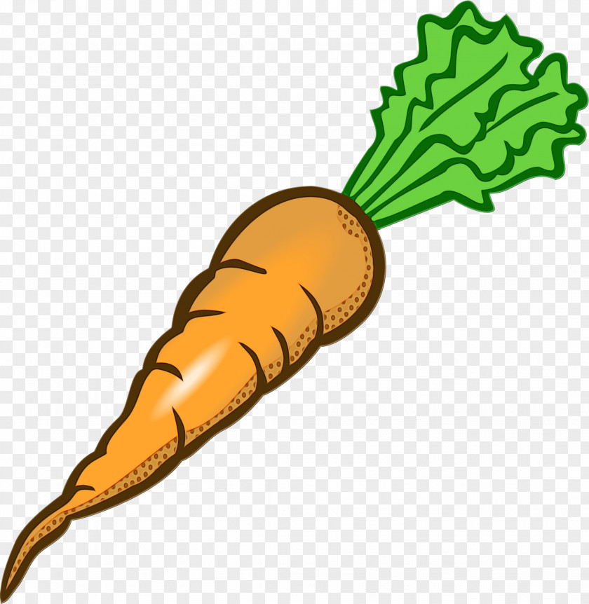 Leaf Vegetable Plant Carrot Cartoon PNG