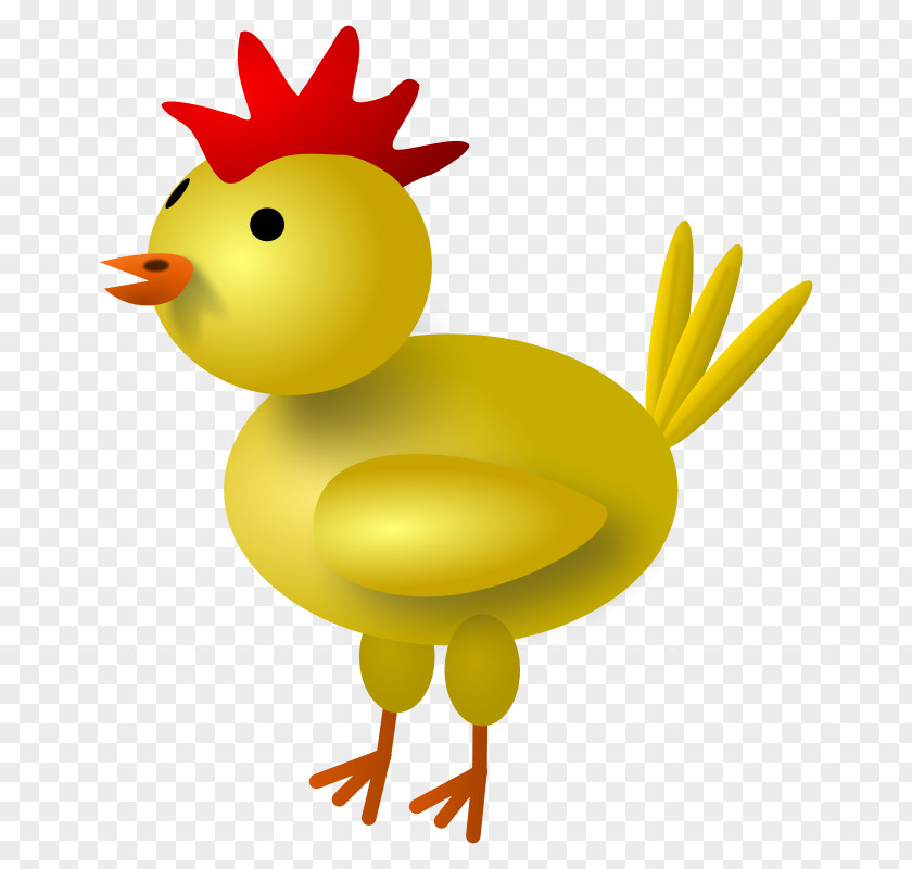 Picture Of Baby Chick Yellow-hair Chicken Rooster Clip Art PNG