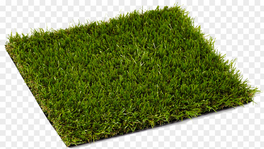 Turf Lawn Artificial Knowing Carpet Landscape Fabric PNG