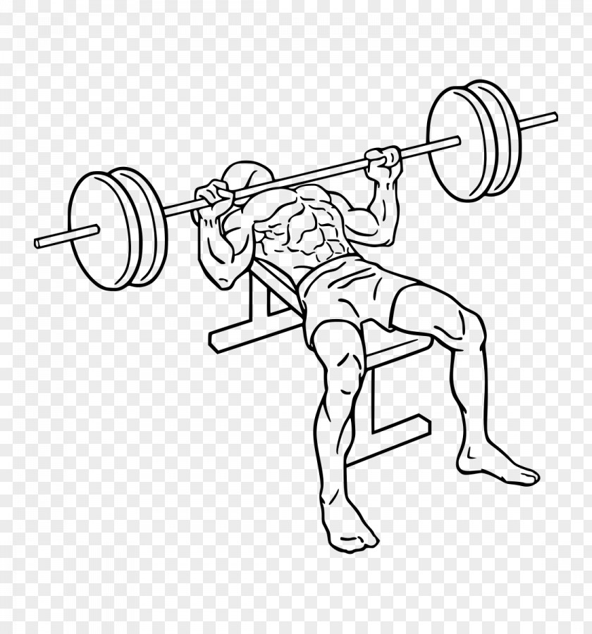 Barbell Bench Press Exercise Biceps Curl PNG