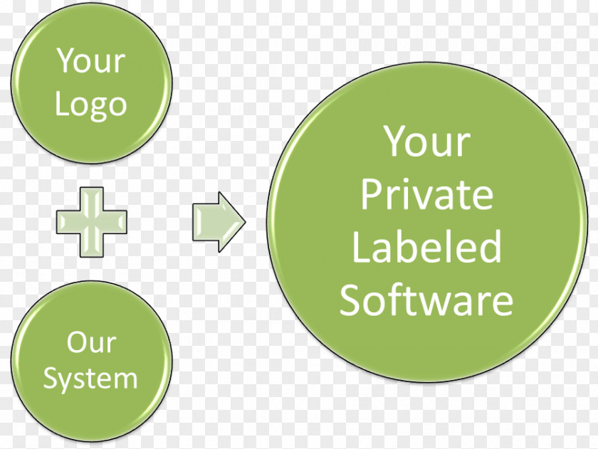 Business Current Ratio Quick Accounting Liquidity PNG