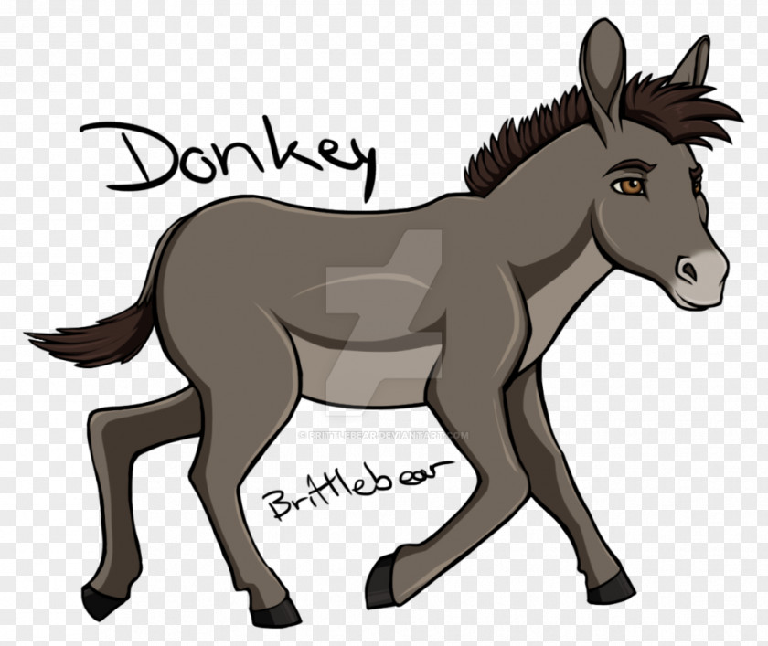 Donkey Mule Foal Pony Stallion PNG