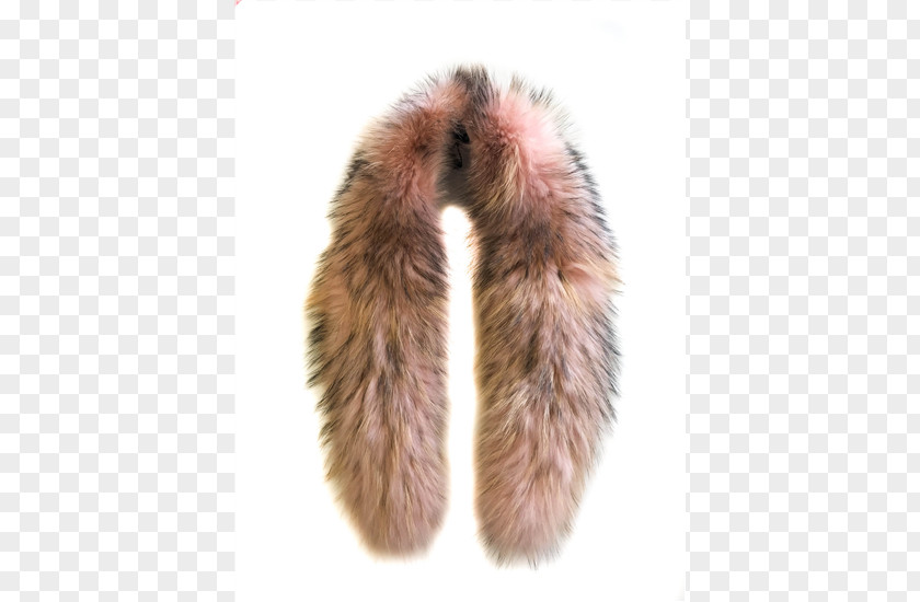 Fur Collar Coat Snout PNG