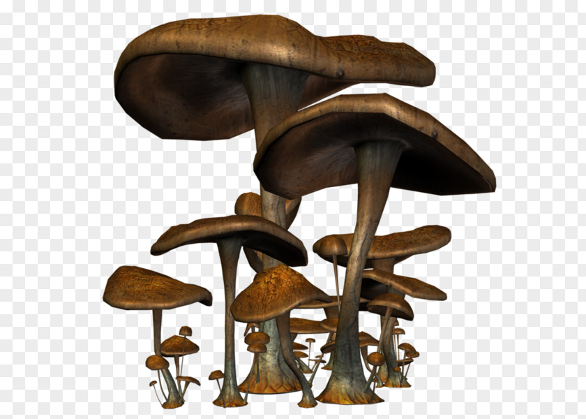 Hand-painted Mushrooms Mushroom Fungus Drawing PNG