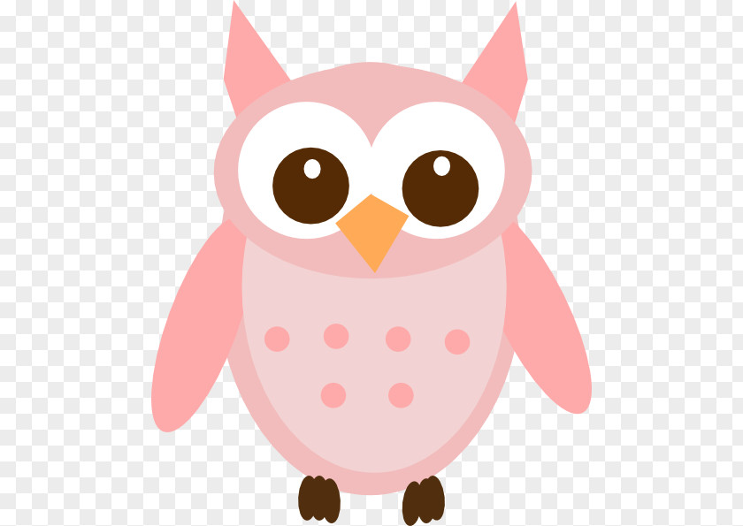 Pink Owl Eastern Screech Clip Art Great Grey Bird PNG