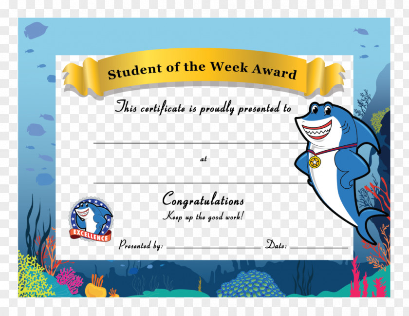Student Academic Certificate Great White Shark Killer Whale Clip Art PNG