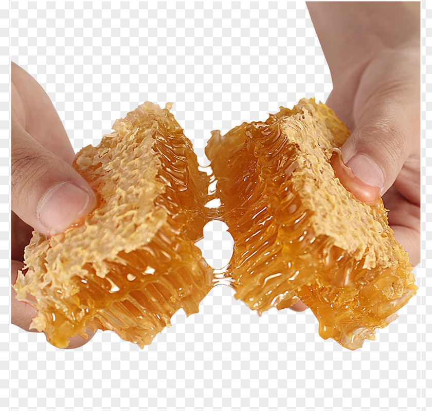 Breaking The Honeycomb Honey Bee Comb PNG