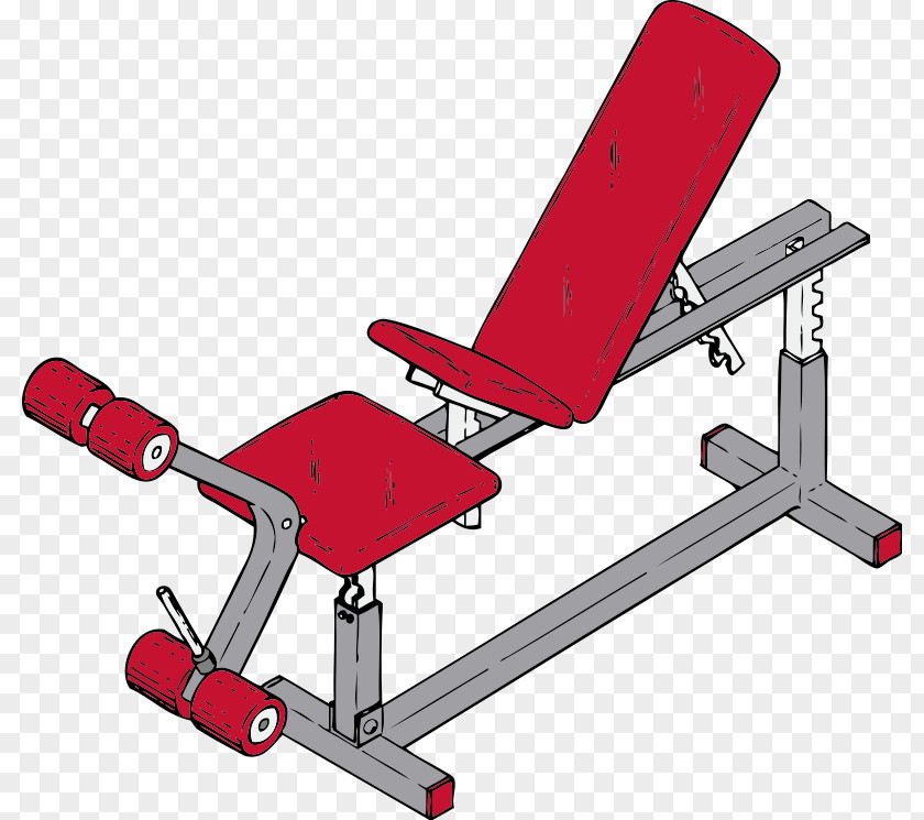 Exercise Pictures Equipment Physical Fitness Centre Bench Clip Art PNG