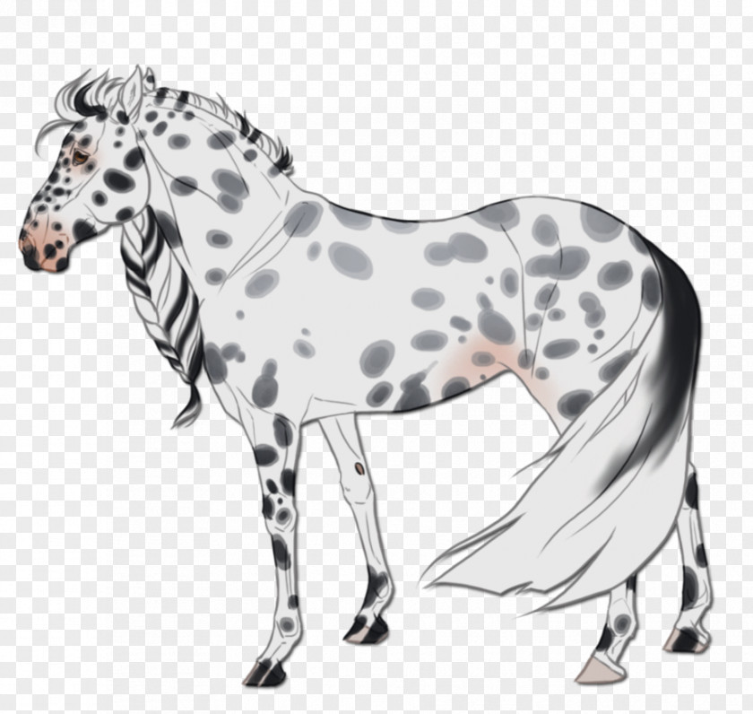 Ice Queen Mustang Stallion Mare Mane Quagga PNG