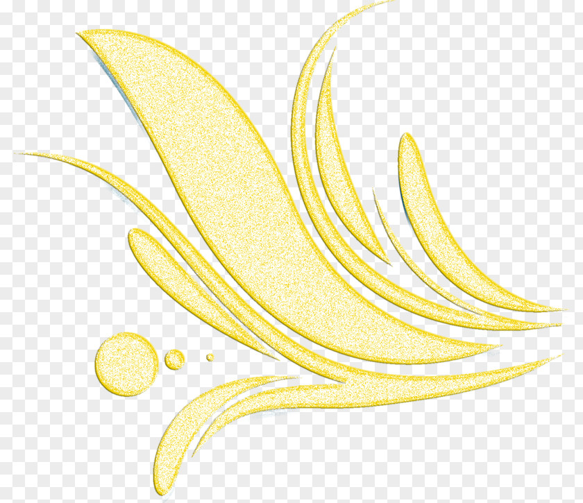 Leaf Flowering Plant Petal PNG