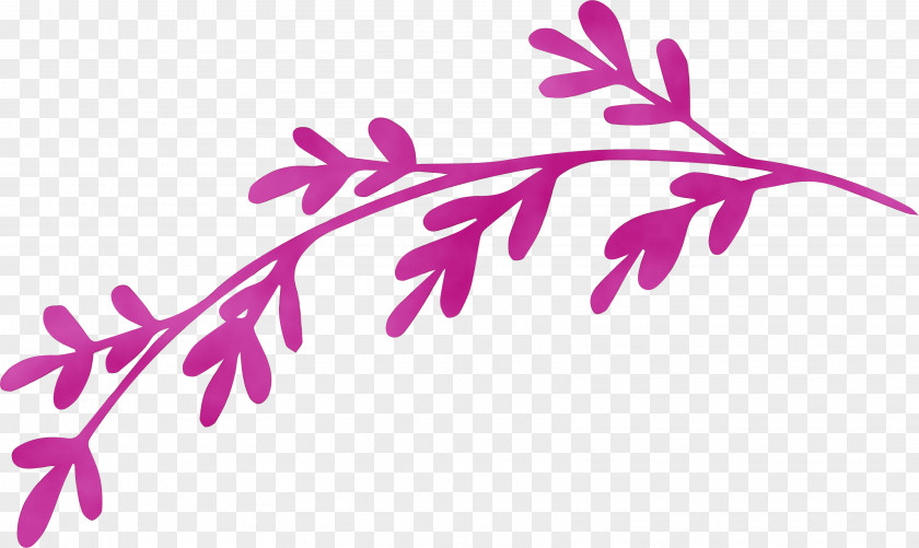 Plant Stem Twig Leaf Petal Pink M PNG