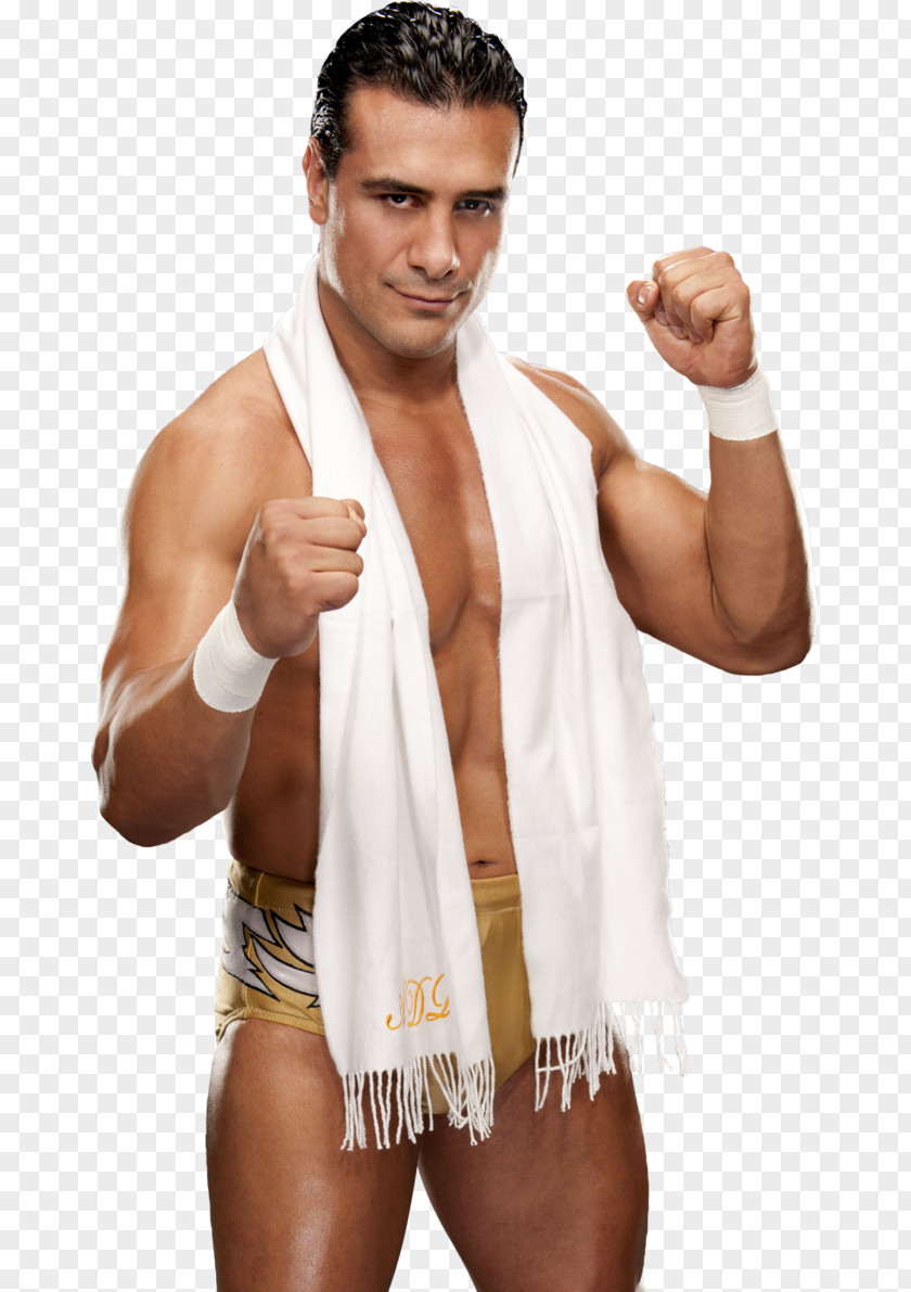 Alberto Del Rio WWE Raw Championship Hell In A Cell Professional Wrestling PNG in a wrestling, brock lesnar clipart PNG