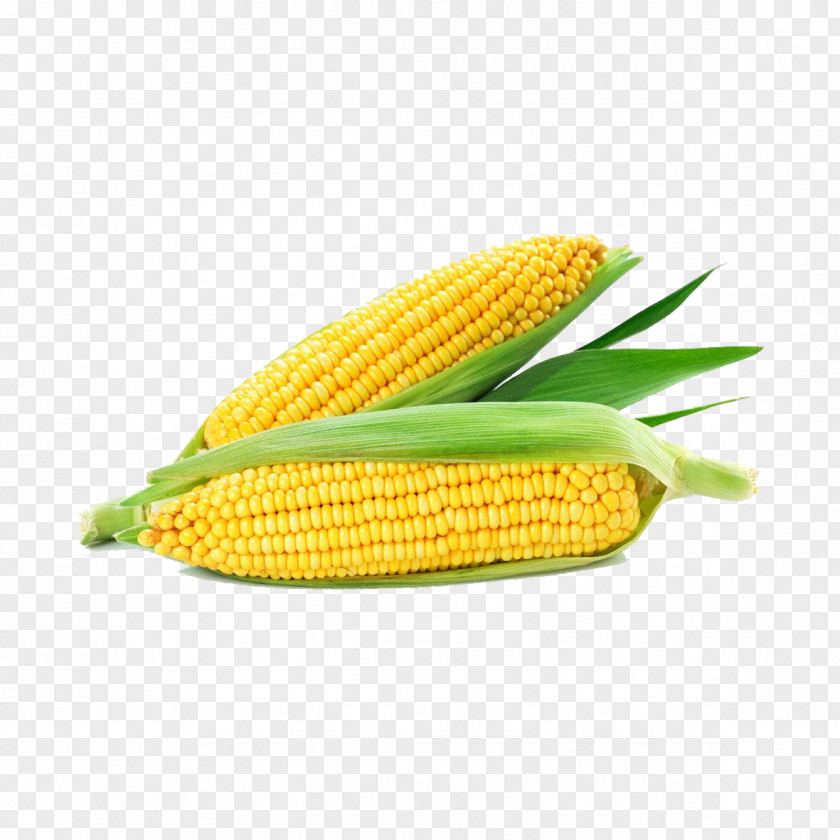 Corn White Pull Away On The Cob Maize Ear Corncob Cereal PNG
