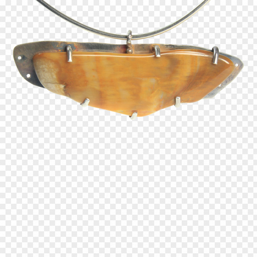 Design Ceiling Light Fixture PNG