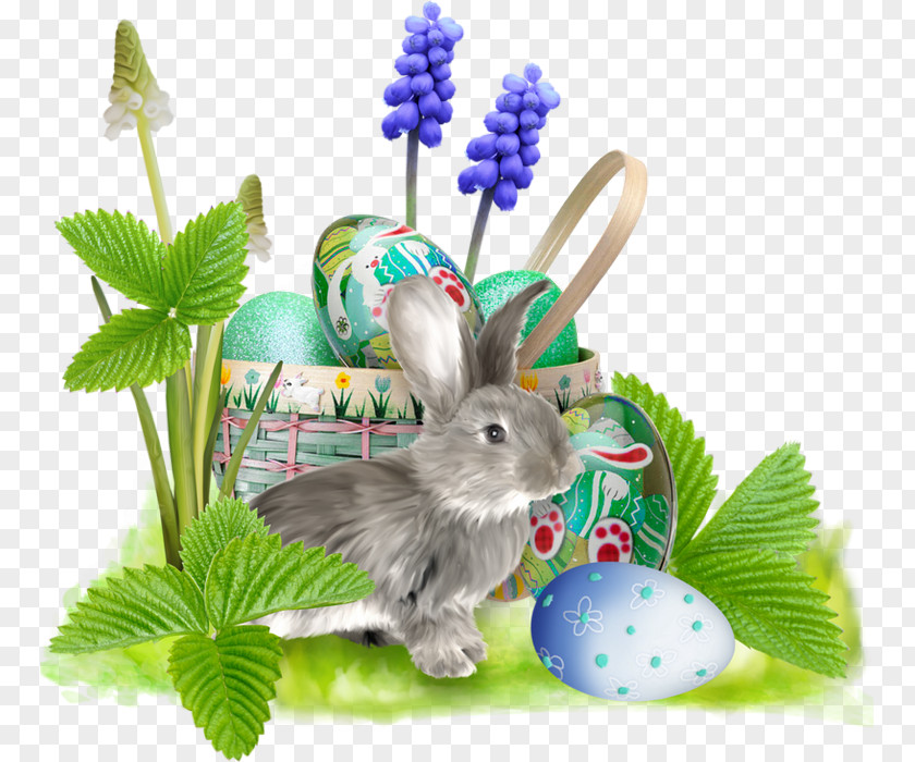 Easter Frame Bunny Egg Clip Art PNG
