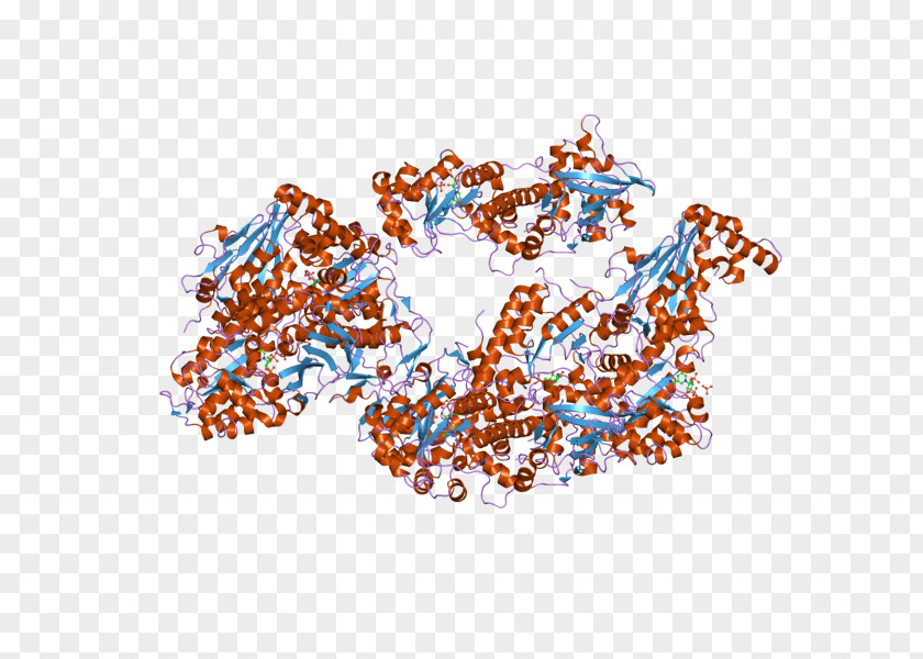 Nicotinamide Phosphoribosyltransferase Art Museum Pre-B-cell Colony Enhancing Factor 1 PNG