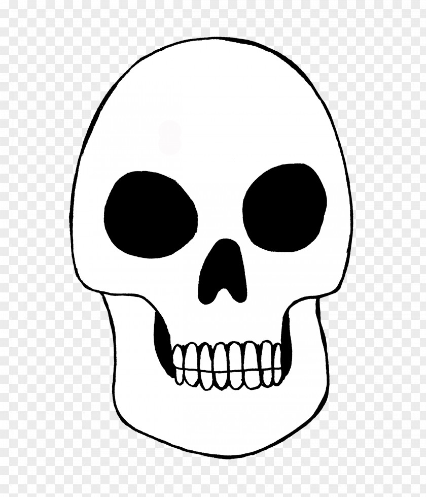 Skulls Calavera Skull Day Of The Dead Bone Skeleton PNG