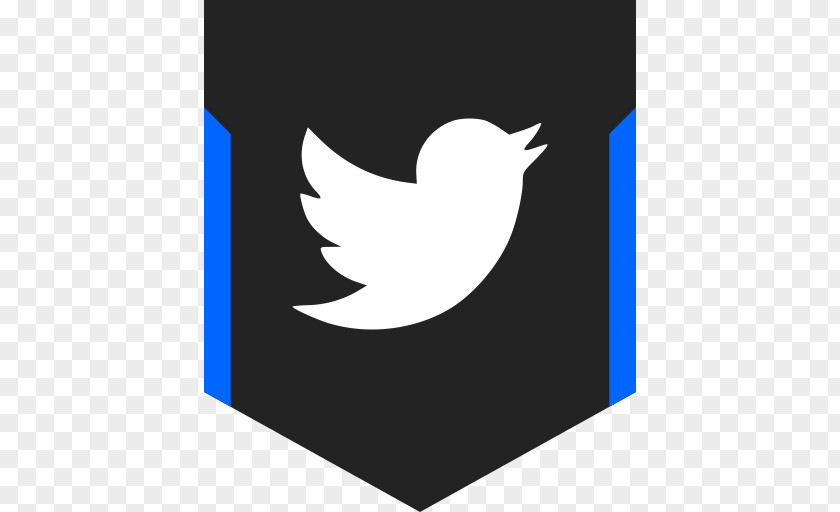 Twitter Logo Wordmark PNG