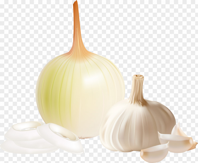 Onion Tursu Garlic Vegetable Food PNG