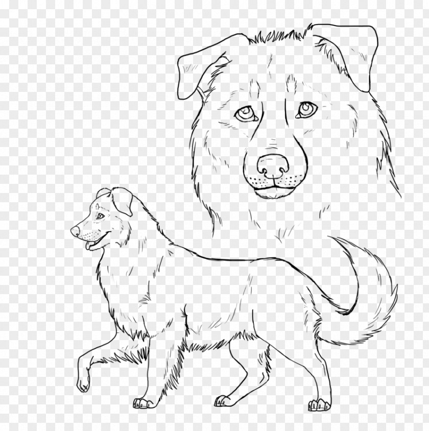 Shepherd Dog Breed Puppy Australian German Line Art PNG