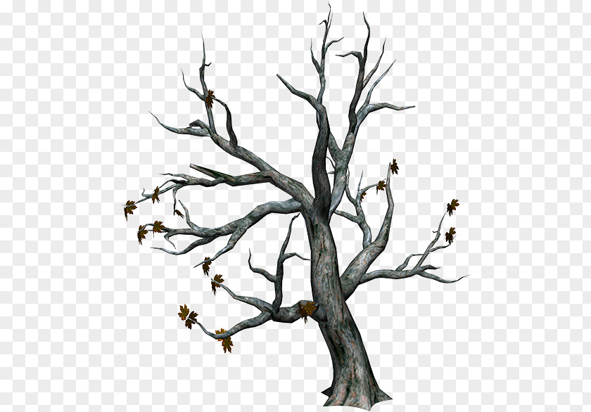 Autumn Trees Withered Tree Branch PNG