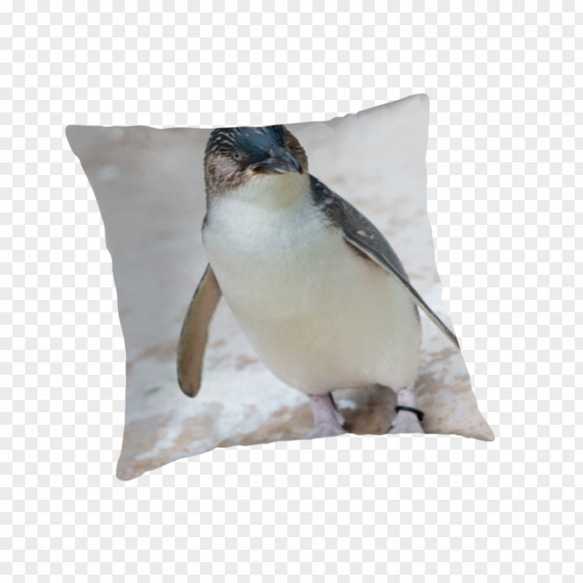 Mr Penguin Cushion Throw Pillows Itabashi PNG