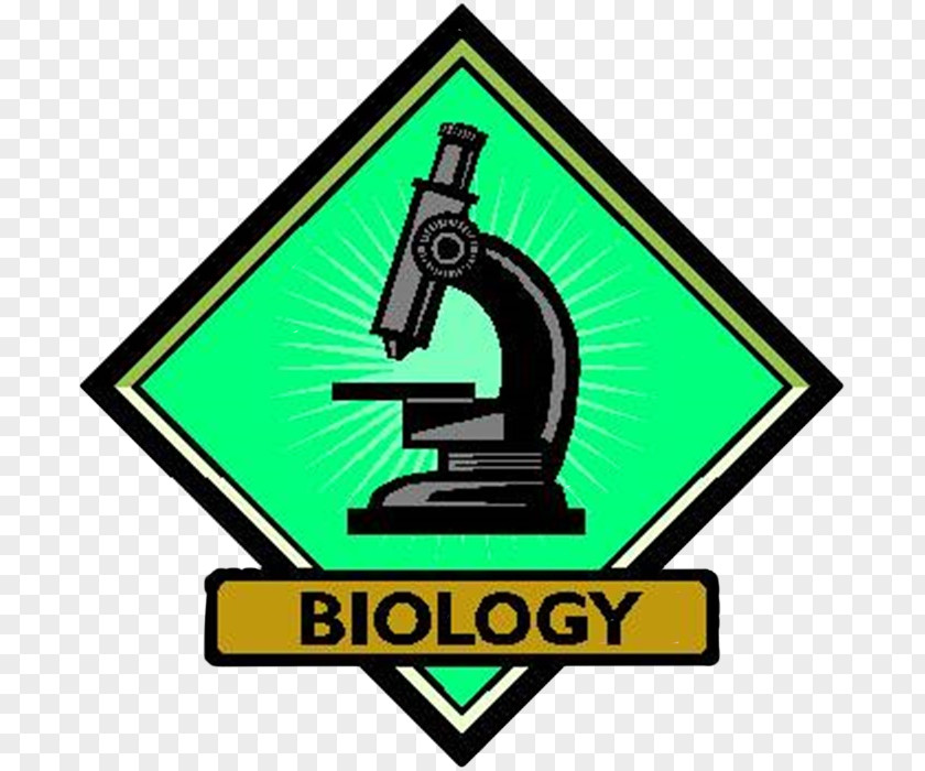 Science Molecular Biology Clip Art PNG