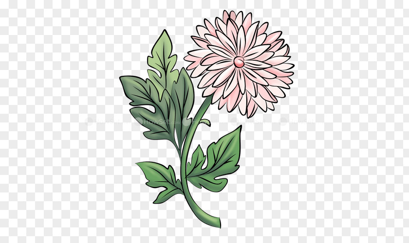 Chrysanthemum Floral Design Drawing Paper Flower PNG