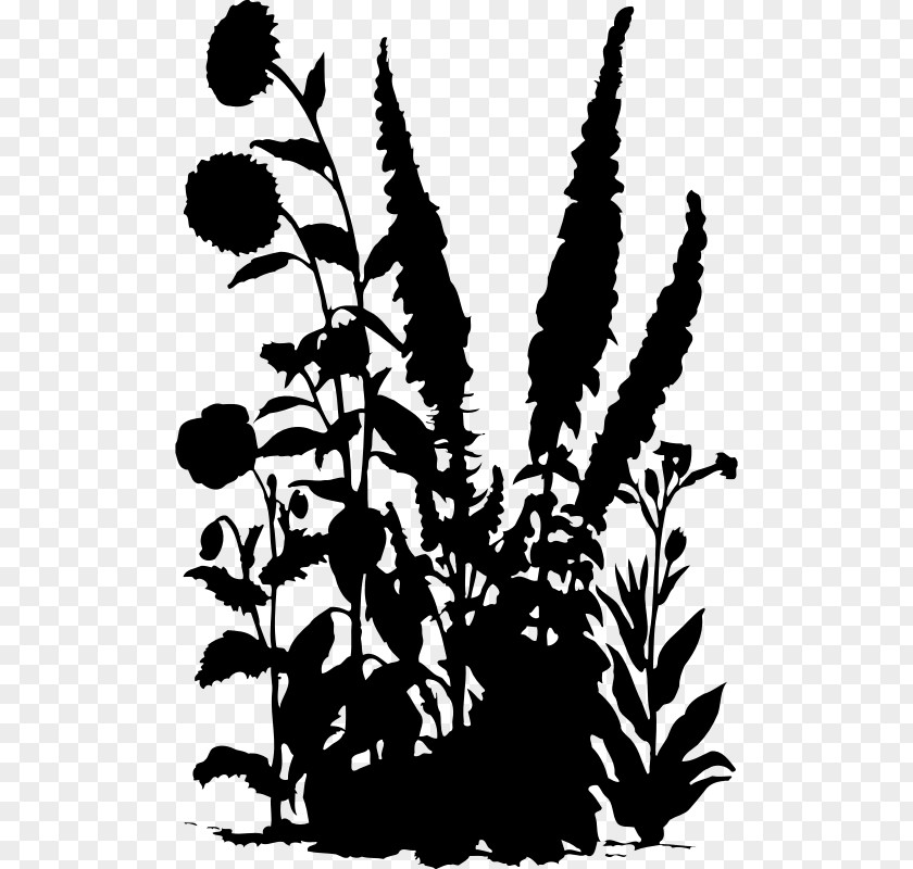 Floral Pictures Silhouette Drawing PNG