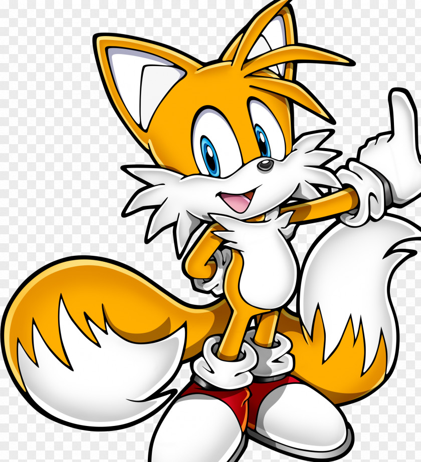 Miles Sonic Rush Adventure Tails Heroes The Hedgehog PNG