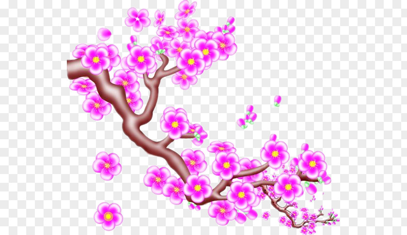Pink Plum Tree Blossom Red PNG