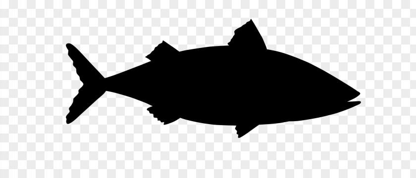 Shark Clip Art Silhouette Black M PNG