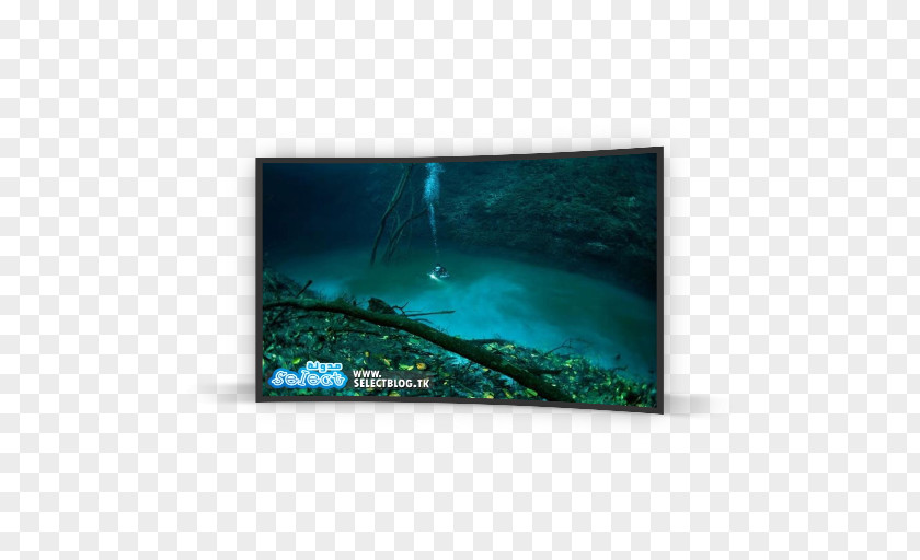 كل عام و انتم بخير Underwater River Cenote Manatí Ocean PNG