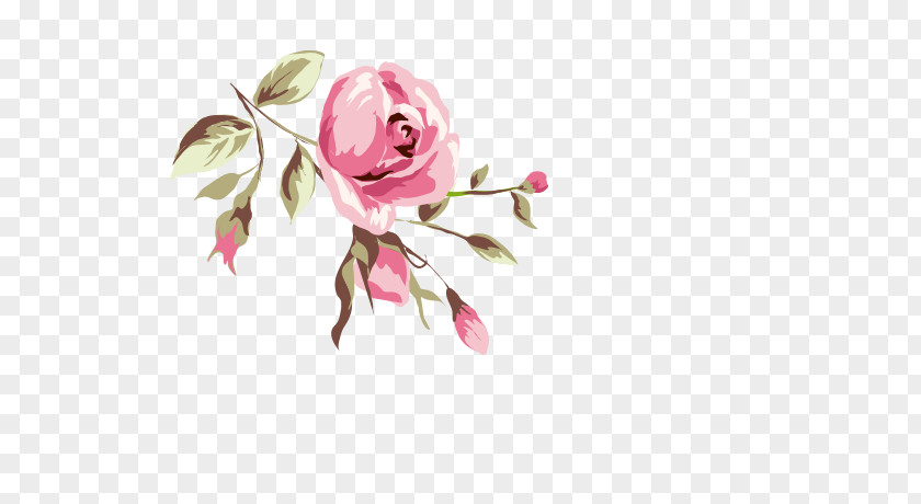 Watercolor Flowers Rose Animation PNG