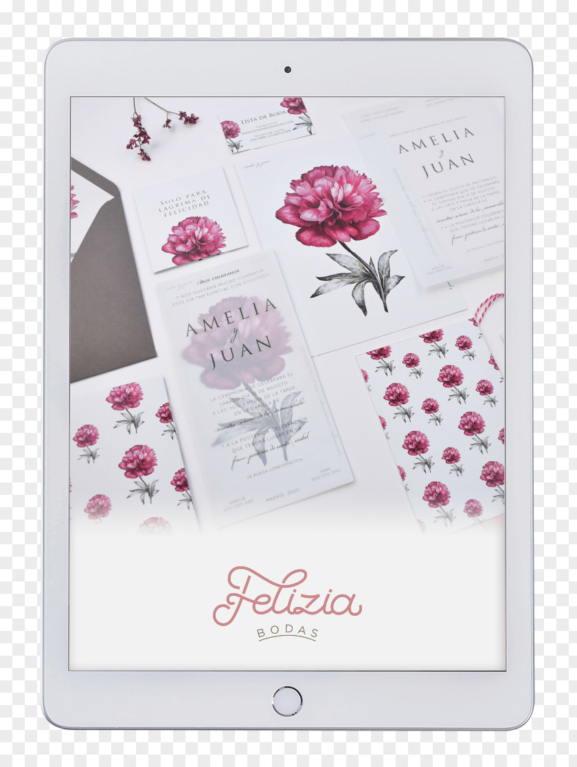 Wedding Convite Felizia Bodas Stationery Stuffing PNG