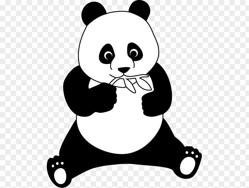 Bear Giant Panda Ueno Zoo Clip Art PNG