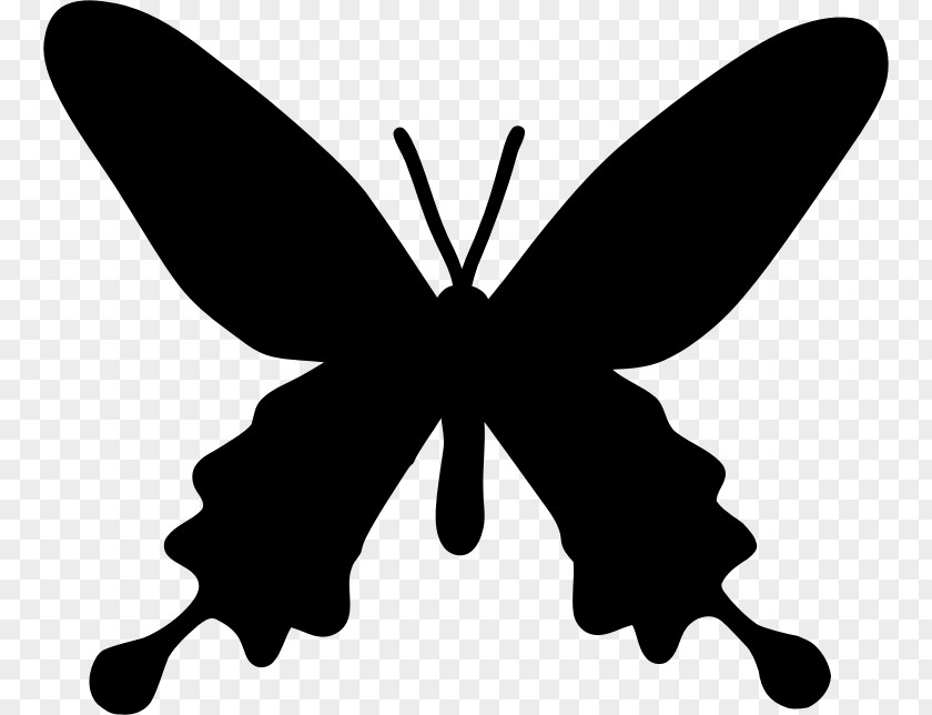Butterfly Stencil Silhouette Drawing PNG