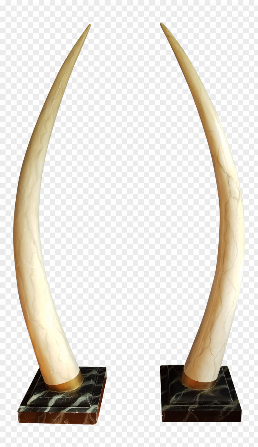 Elephant Ivory Tusk Horn Chairish PNG