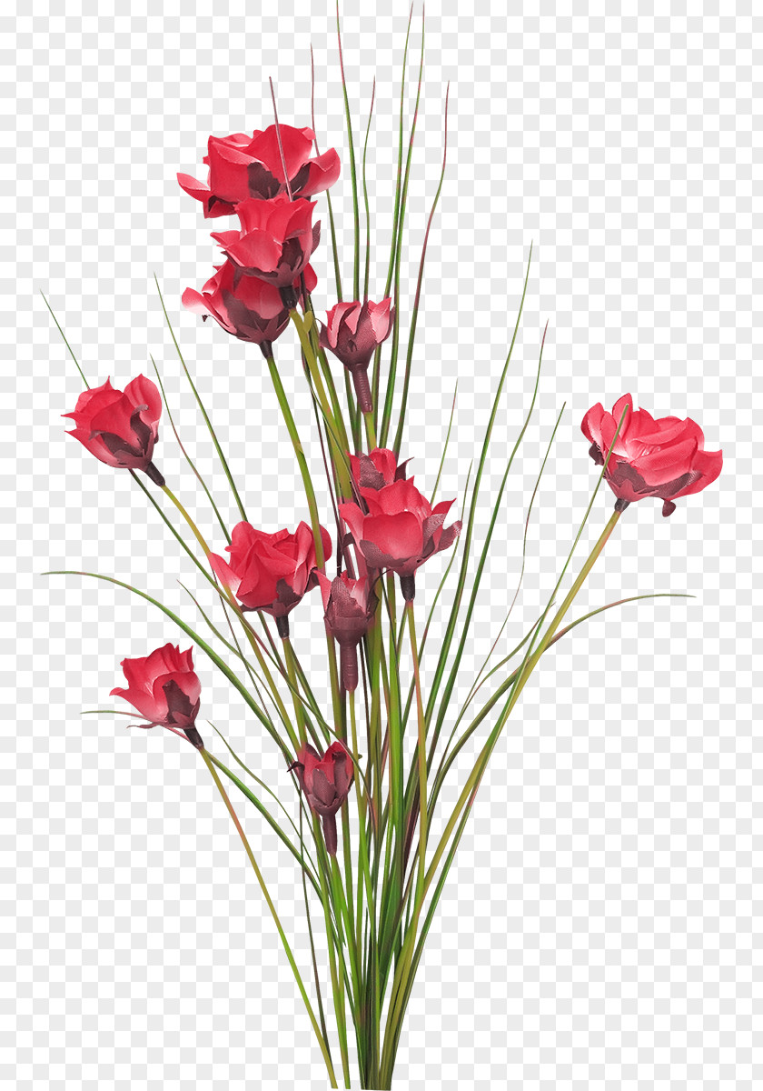 Flower Floral Design Cut Flowers Lilium PNG