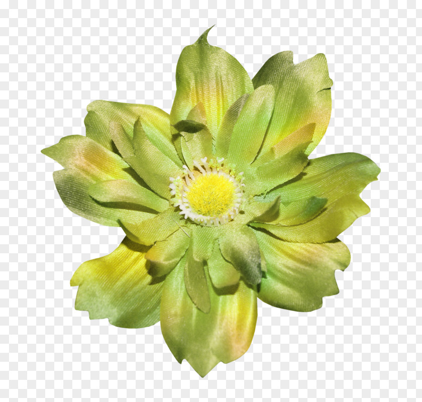 Flower Green PNG