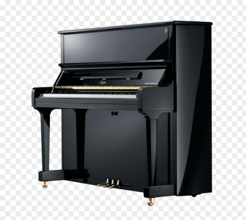 Piano Steinway & Sons Upright ボストンピアノ Grand PNG