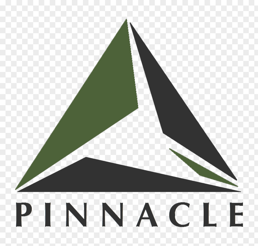 Pinnacle Lien Services Inc Triangle Brand Email Logo PNG
