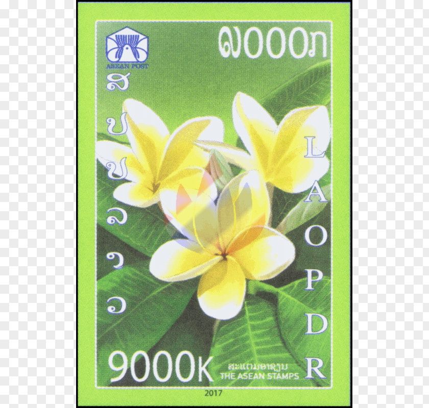 Plumeria Laos Association Of Southeast Asian Nations Vietnam Rubra Postage Stamps PNG