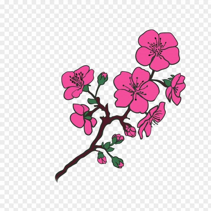 Red Hand-painted Cherry Tree Blossom Photography PNG