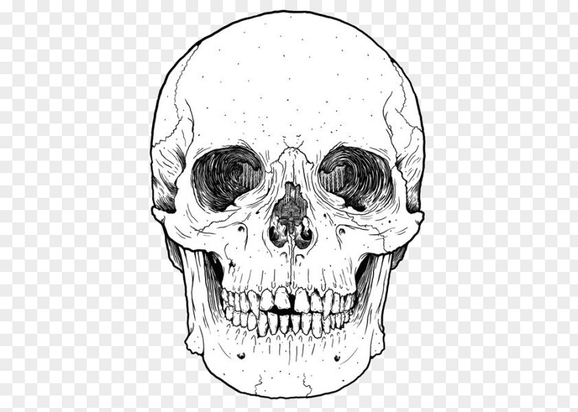 Skull Calavera Bumper Sticker Decal PNG