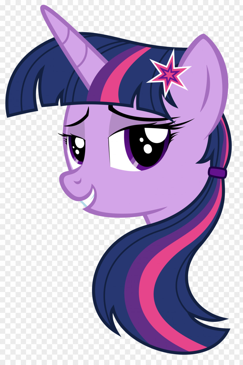 Sparkle Pony Twilight Rarity Fluttershy Art PNG