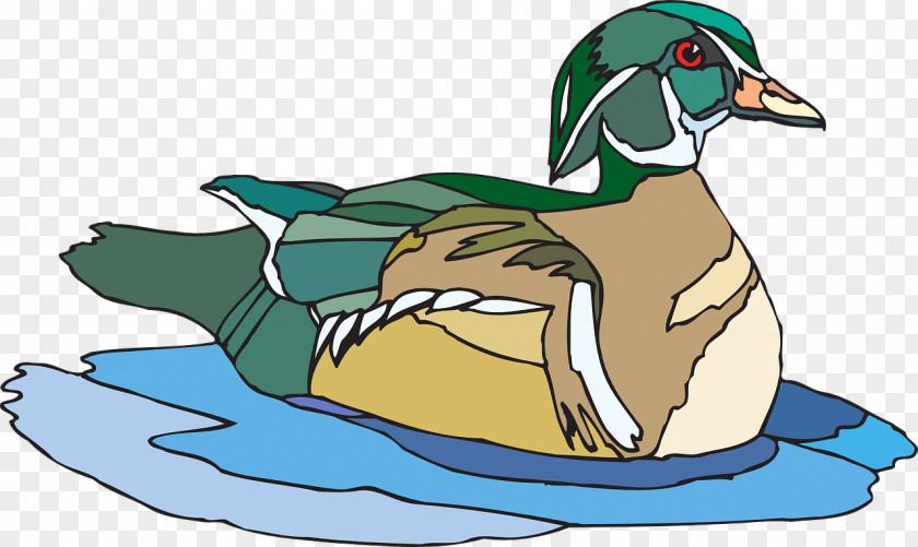 Water Swimming Duck Clip Art PNG