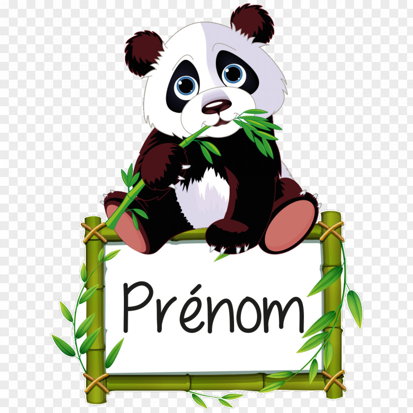 Bamboo Giant Panda T-shirt Image Bear PNG