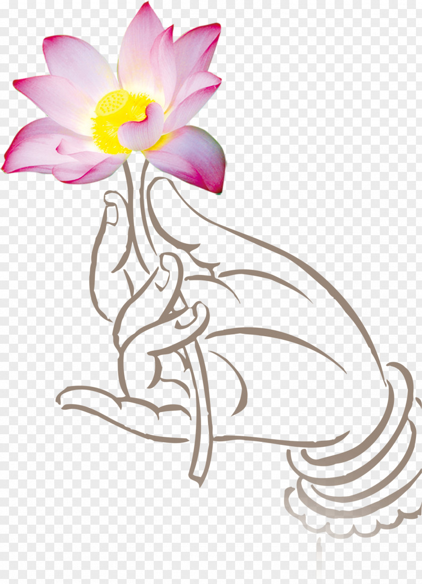 Bergamot Lotus Pull Creative HD Free Nan Tien Temple Buddhas Hand Buddhahood Floral Design PNG