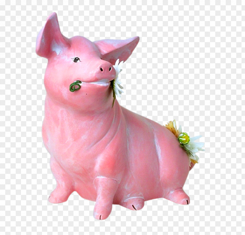 Cute Piggy Bank Boar Domestic Pig Dog PNG
